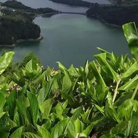 Laura Pensionat Ribeirinha (Sao Miguel)