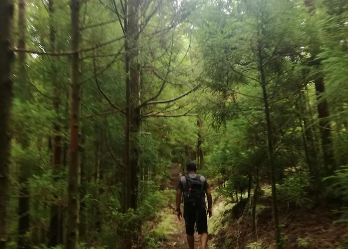 Πανσιόν Laura 3*