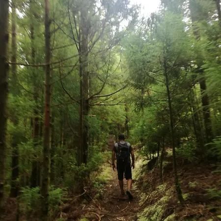 בית הארחה Laura 3*